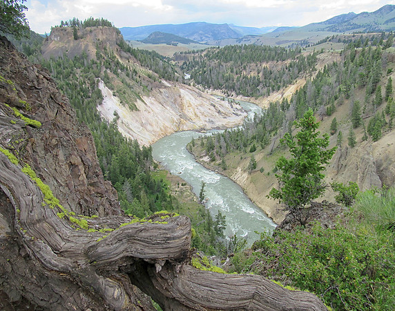 IMG_4966 Grand View Overlook, Yellowstone, National Park, WY