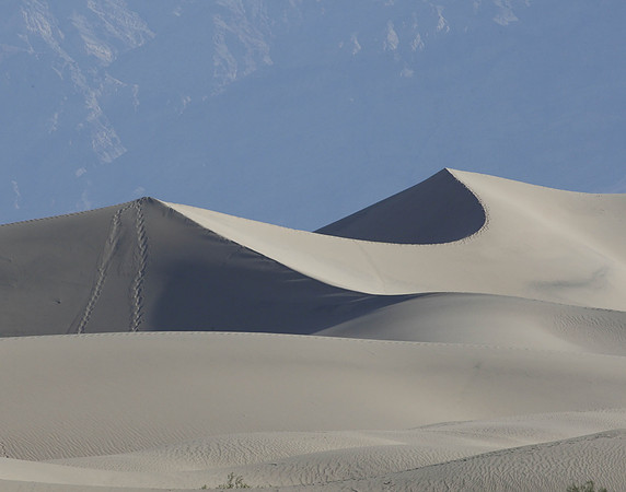 Z0R9829 Sand Dunes, Death Valley, CA