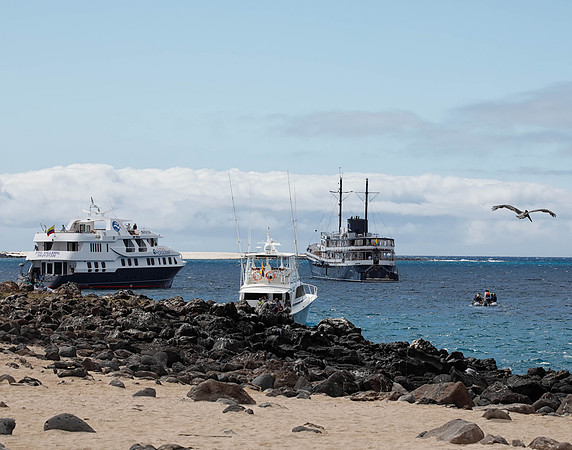 05A9168 Boats, panga and pelican in flight N Seymour