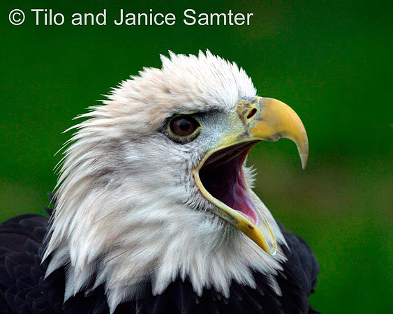 _K5W1537