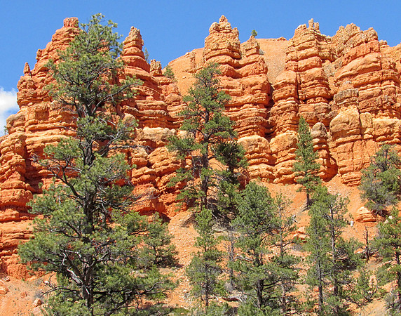 IMG_3078 Bryce Canyon National Park, UT