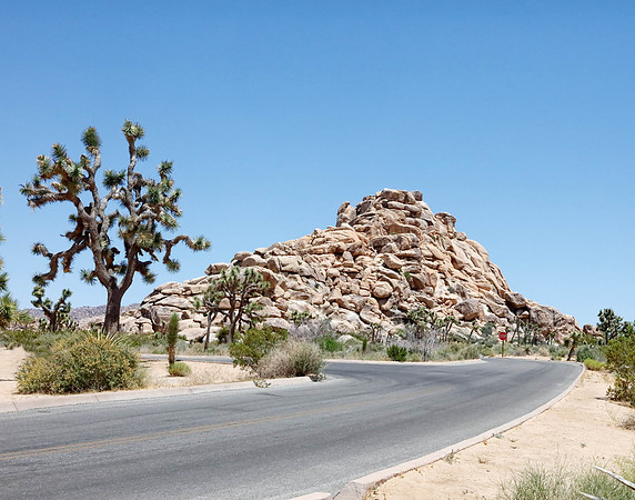X7A6856 Joshua Tree National Park, CA