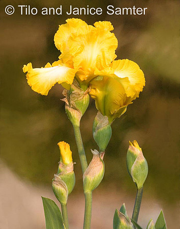 CRW_7187