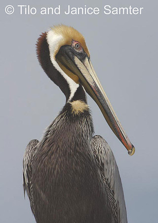 CRW_8141