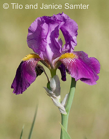 CRW_7021