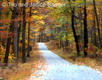 Autumn #15