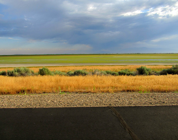 IMG_4673 Antelope Island, UT