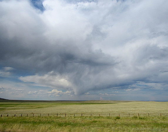 IMG_4863 Medicine Bow, WY
