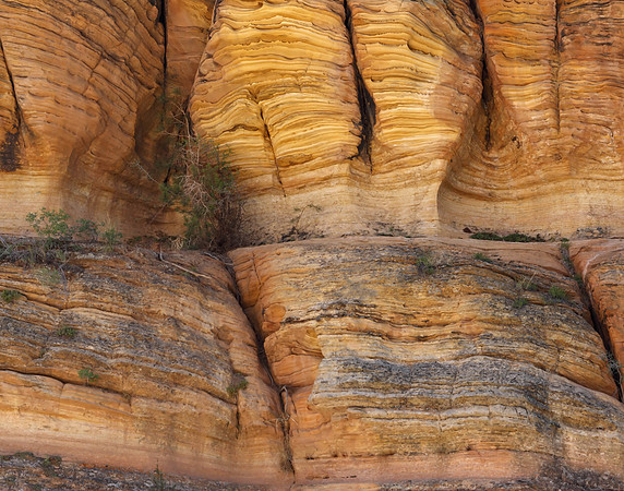 Z0R9421 Zion National Park, UT