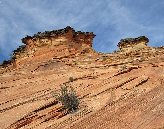 IMG_3102 Zion National Park, UT