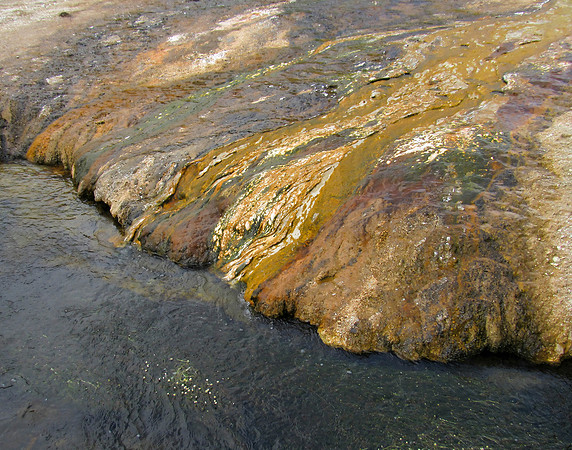 IMG_5083 Black Sand Basin, Yellowstone National Park, WY