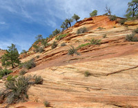 IMG_3121 Zion National Park, UT