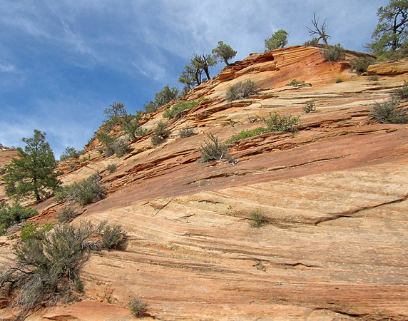 IMG_3121 Zion National Park, UT