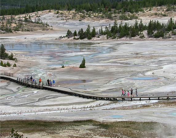 IMG_5299 Porcelain Basin, Yellowstone National Park, WY