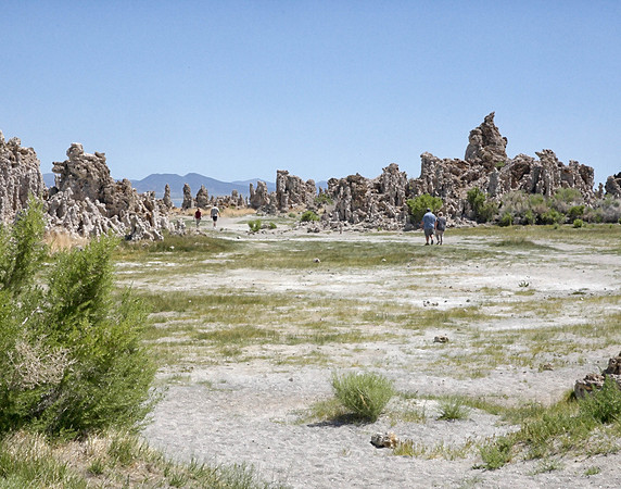 B8O1674 Tufa at Mono Lake, CA